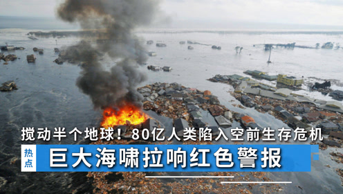 法理与现实的交织，沈伯洋困境折射下的台独生存危机