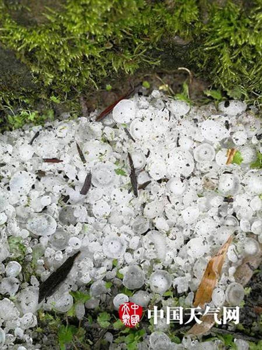 重庆三峡之巅冰雹事件真相,谣言背后的气象科学与公众心理探析 重庆三峡之巅冰雹事件真相,谣言背后的气象科学与公众心理探析