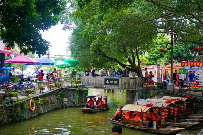 踩水的大湾鸡，从岭南水乡到舌尖上的传奇