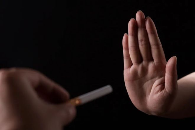 南宁动物园网红黑猩猩开启戒烟大作战,从烟不离手到轻松戒断的逆袭 南宁动物园网红黑猩猩开启戒烟大作战,从烟不离手到轻松戒断的逆袭