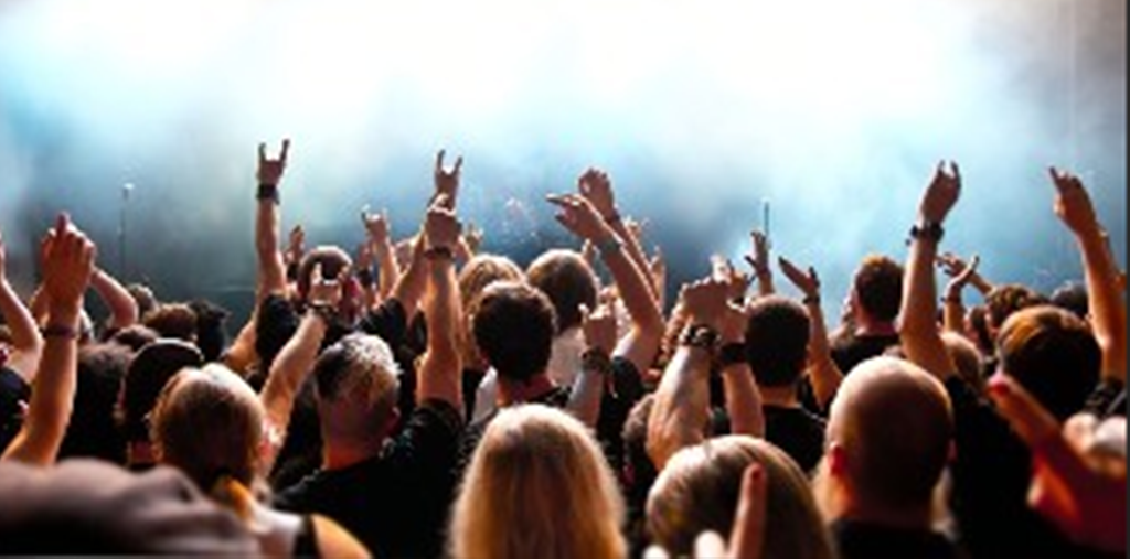 当不理解但照做成为流量密码，一场荒诞与真实的社交实验