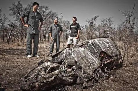 山西狗咬人引发的血案背后,农村治理困境与法律边界之思 山西狗咬人引发的血案背后,农村治理困境与法律边界之思