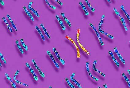 婚后三年未育之谜，揭开男性染色体异常的隐秘