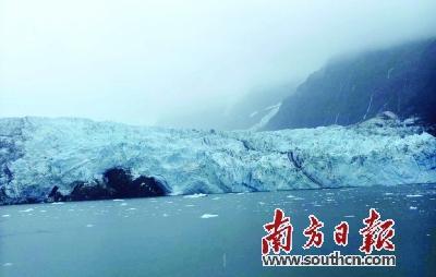 冰川消融警报,南极一冰川两个月内竟消失近一半 冰川消融警报,南极一冰川两个月内竟消失近一半