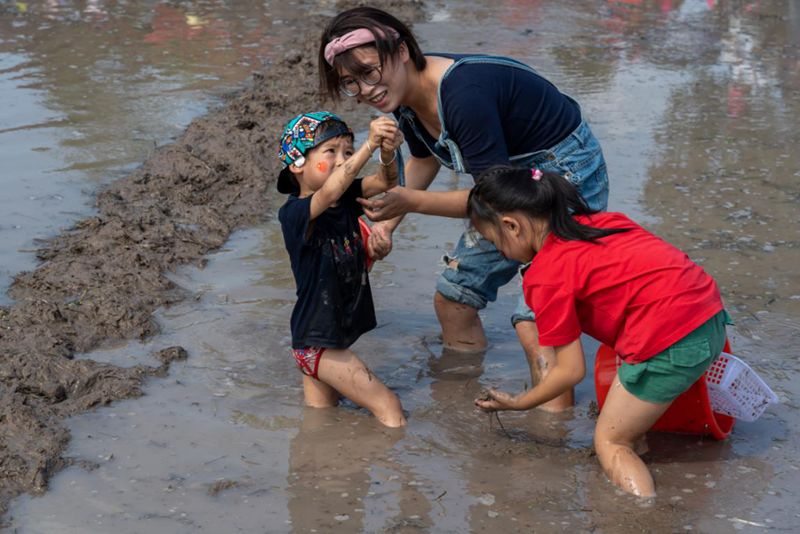 航拍镜头下的荒诞剧，万人涌入农田偷甘蔗背后的社会隐喻