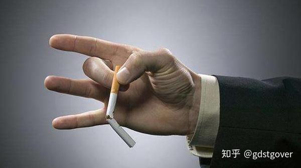 南宁动物园网红黑猩猩开启戒烟大作战,从烟不离手到轻松戒断的逆袭 南宁动物园网红黑猩猩开启戒烟大作战,从烟不离手到轻松戒断的逆袭