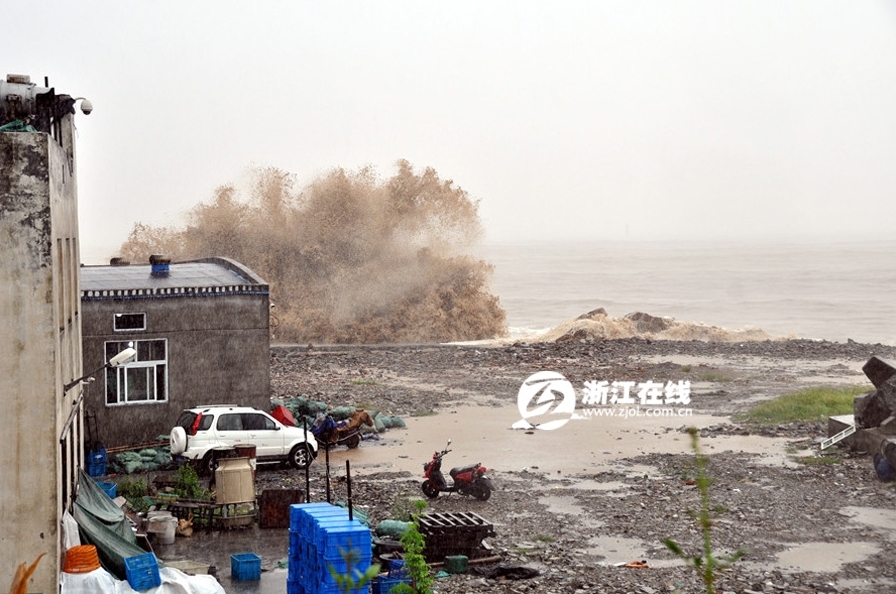 台风凤凰来袭，超强台风下的挑战与应对