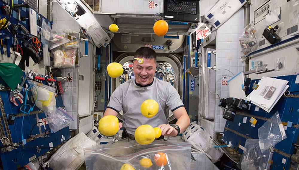 太空新居民，4只小鼠入住空间站状态良好