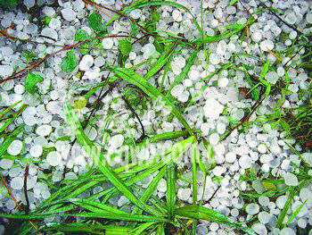 重庆三峡之巅冰雹事件真相,谣言背后的气象科学与公众心理探析 重庆三峡之巅冰雹事件真相,谣言背后的气象科学与公众心理探析