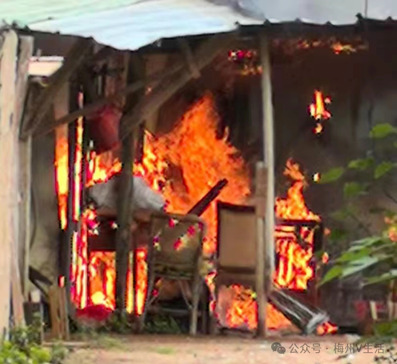 大埔火灾背后的黑幕，廉政公署破获重大火灾阴谋案