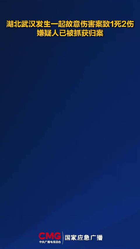 武汉持刀伤人致1死案告破 警方通报揭示潜在社会风险 武汉持刀伤人致1死案告破 警方通报揭示潜在社会风险