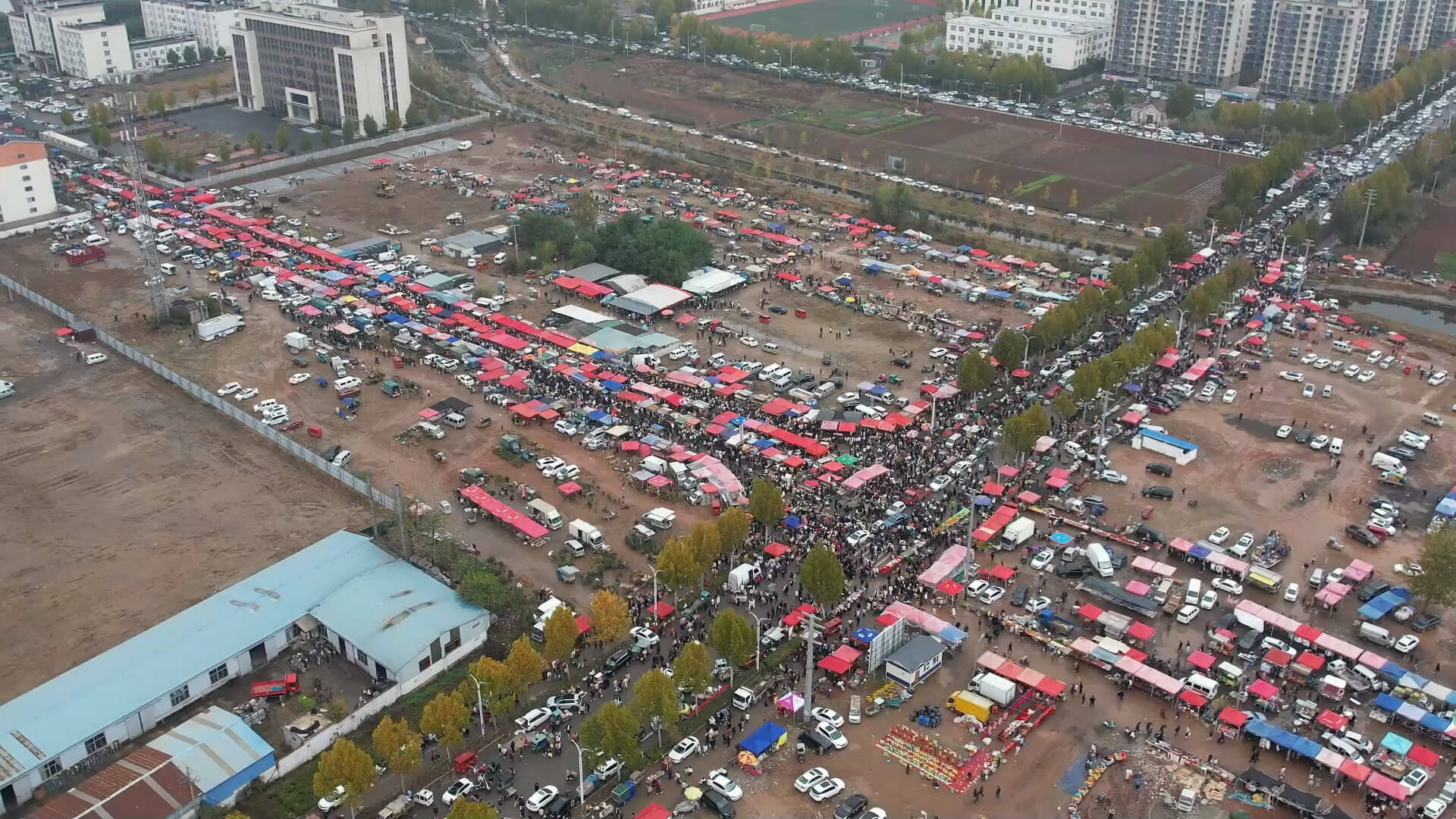 一场千年赶集的现代启示录—解码10万人赶曹洼的集体狂欢