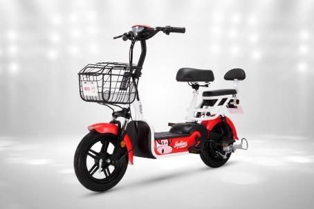 新国标电动自行车,五大谣言破解指南 新国标电动自行车,五大谣言破解指南