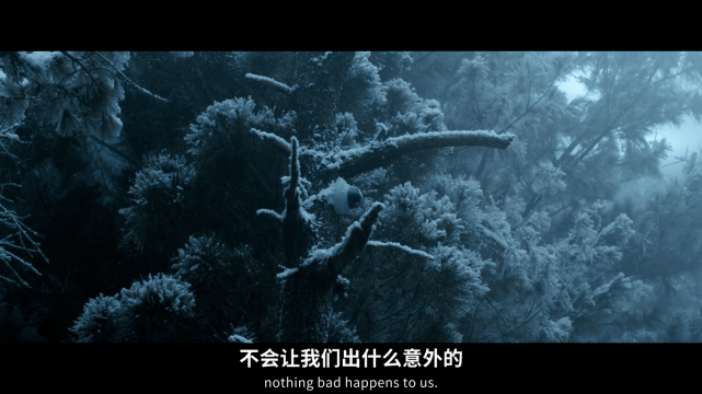 冰窟惊魂,七岁女孩如何用勇气与智慧拯救男童 冰窟惊魂,七岁女孩如何用勇气与智慧拯救男童