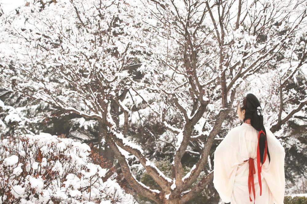 雪落人间处，自有清欢事