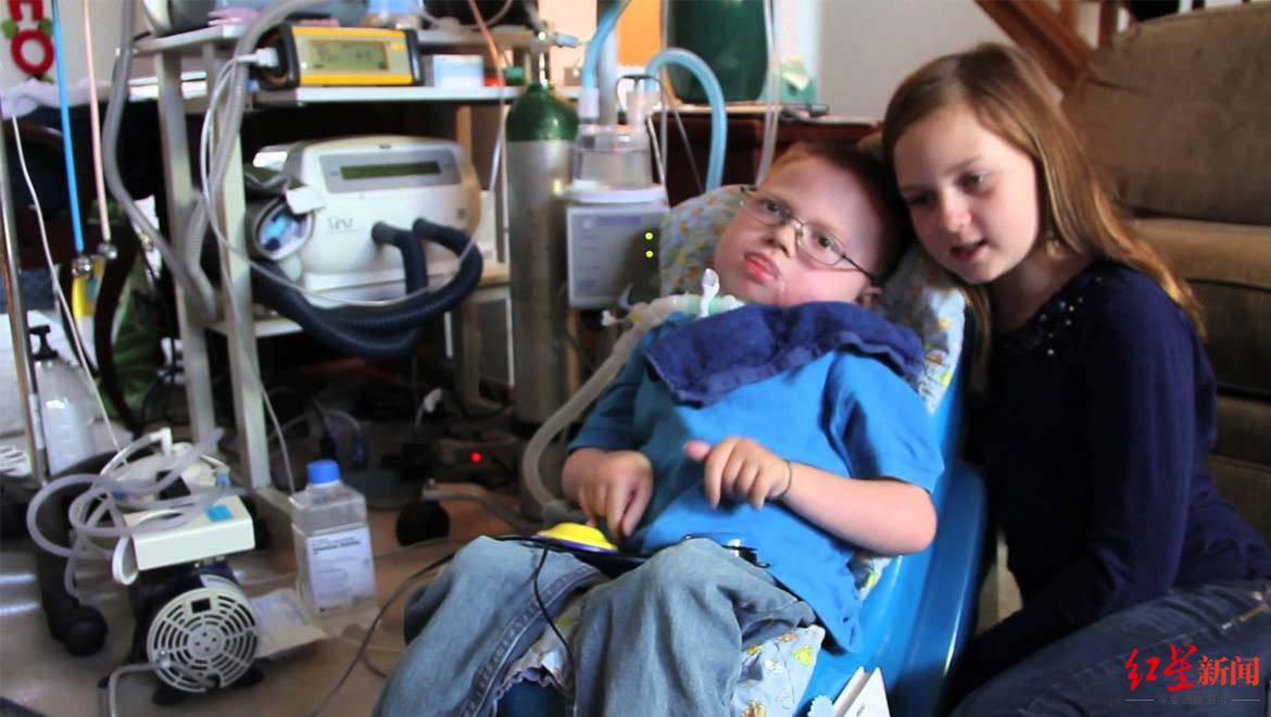 200斤巨狮肠梗阻！2万元救治费背后，动物医疗的伦理困境与成本谜题