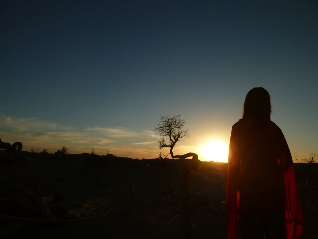 生命最后的身影，33岁驻村干部黄文秀的最后一程