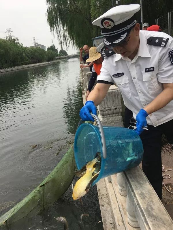 毕节水域惊现非法捕捞乱象，千米渔网围困生态危机，谁在破坏自然平衡？