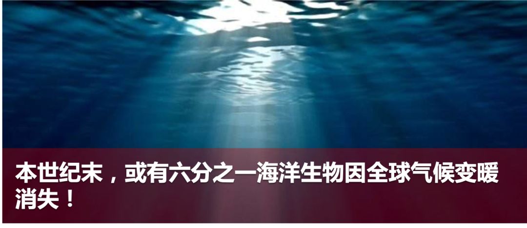 冰湖惊魂,少年英雄勇破冰层托起生命之光 冰湖惊魂,少年英雄勇破冰层托起生命之光