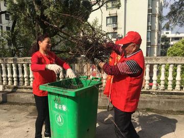 陕西某地给枯草喷颜料引争议，当地回应称美化环境