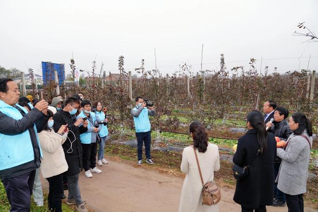 巾帼领航新电商 百万粉丝助农兴乡—解码网红经济赋能乡村振兴的巾帼力量