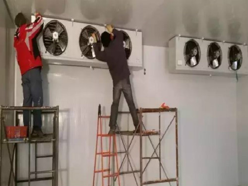 冷库惊魂，一把梯子为何成了她的求生工具？