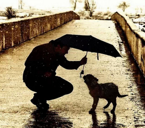 父权阴影下的法律困境,当亲情遭遇契约精神 父权阴影下的法律困境,当亲情遭遇契约精神