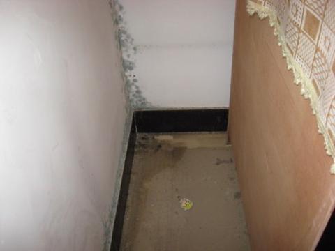 网红橙子墙发霉事件,流量狂欢下的诚信之殇? 网红橙子墙发霉事件,流量狂欢下的诚信之殇?