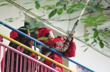 高压水枪下的银杏叶,城市清洁与生态保护的博弈 高压水枪下的银杏叶,城市清洁与生态保护的博弈