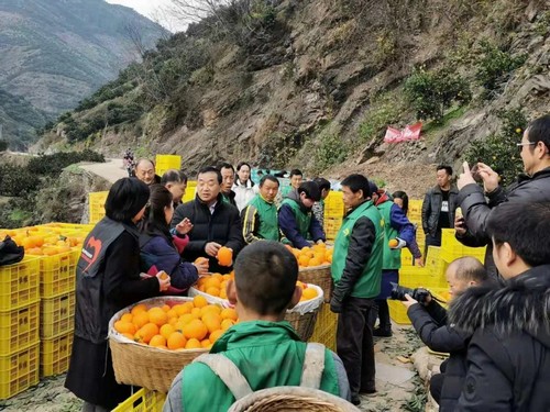 巾帼领航新电商 百万粉丝助农兴乡—解码网红经济赋能乡村振兴的巾帼力量