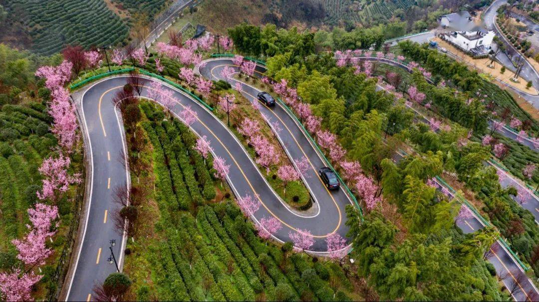 从城市赛道到山野之间，解码跑马人的进化密码