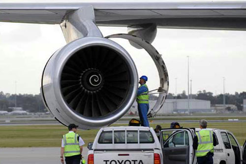 荷兰航班惊现鼠患,空中惊魂与航空安全反思 荷兰航班惊现鼠患,空中惊魂与航空安全反思