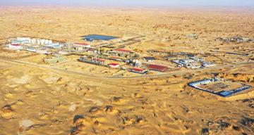 沙漠变粮仓,新疆盐碱地水稻丰收背后的科技奇迹 沙漠变粮仓,新疆盐碱地水稻丰收背后的科技奇迹