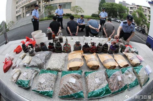 药酒里泡了十余年的海马竟是塑料，一场跨越十年的假药酒骗局