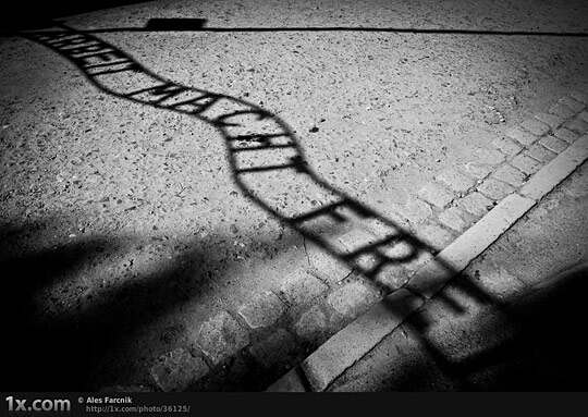 跨越省界的阴影，一场关于亲情与法律的生死竞速