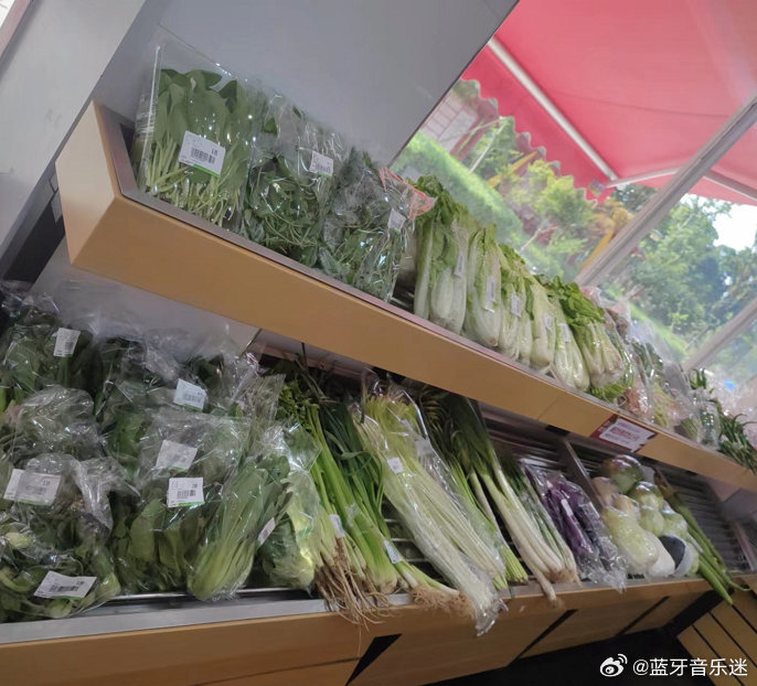 00后女生用科技种菜颠覆传统农业，水培蔬菜摊日销破千背后的新零售密码