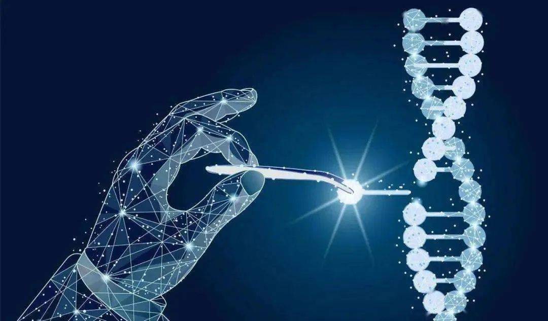 基因剪刀照亮生命曙光，武汉高校团队攻克艾滋病治疗难题