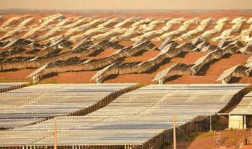 沙漠变粮仓，新疆盐碱地水稻丰收背后的科技奇迹