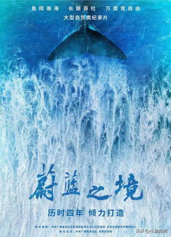 黑龙江冰湖惊现13匹冰封千年古马群，史前奇迹还是生态警示？