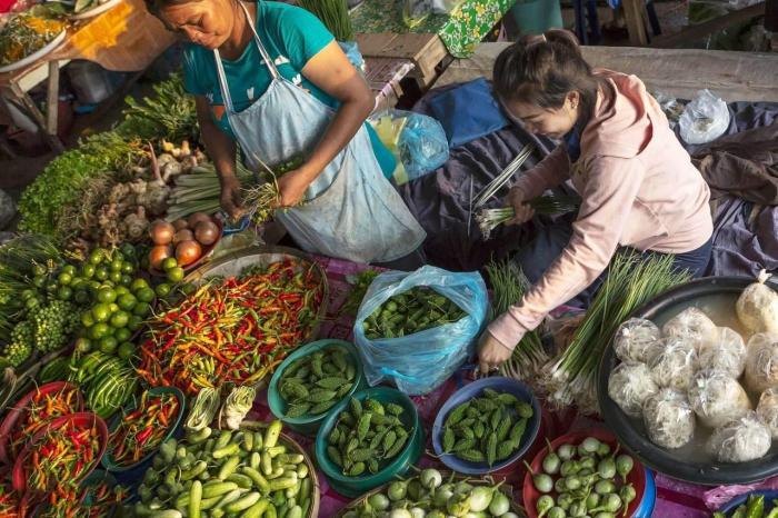 车厘子价格腰斩，甜蜜果实背后的市场风暴