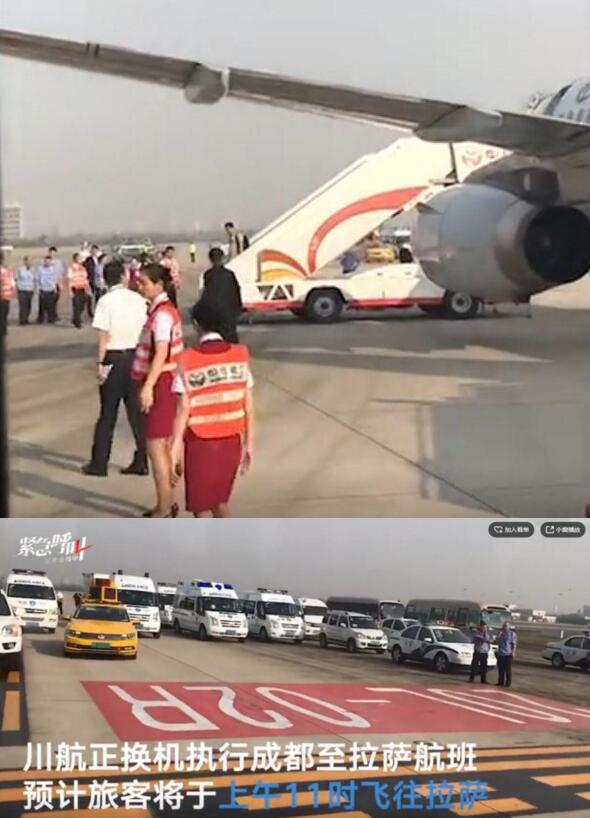 荷兰航班惊现鼠患,空中惊魂与航空安全反思 荷兰航班惊现鼠患,空中惊魂与航空安全反思