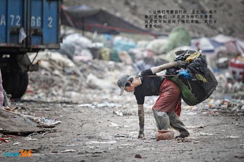 快递站旁的幼犬幼猫，城市弃养问题的缩影与社会反思