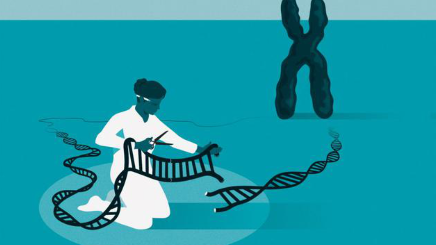 基因剪刀照亮生命曙光,武汉高校团队攻克艾滋病治疗难题 基因剪刀照亮生命曙光,武汉高校团队攻克艾滋病治疗难题