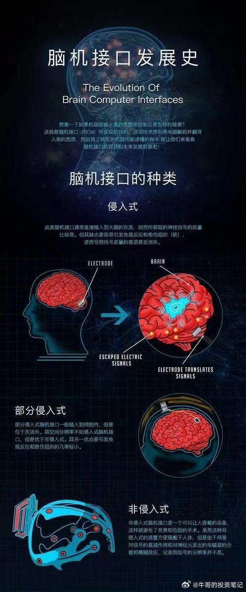 蔡磊，向脑机接口领域发起挑战，开启人机融合新纪元