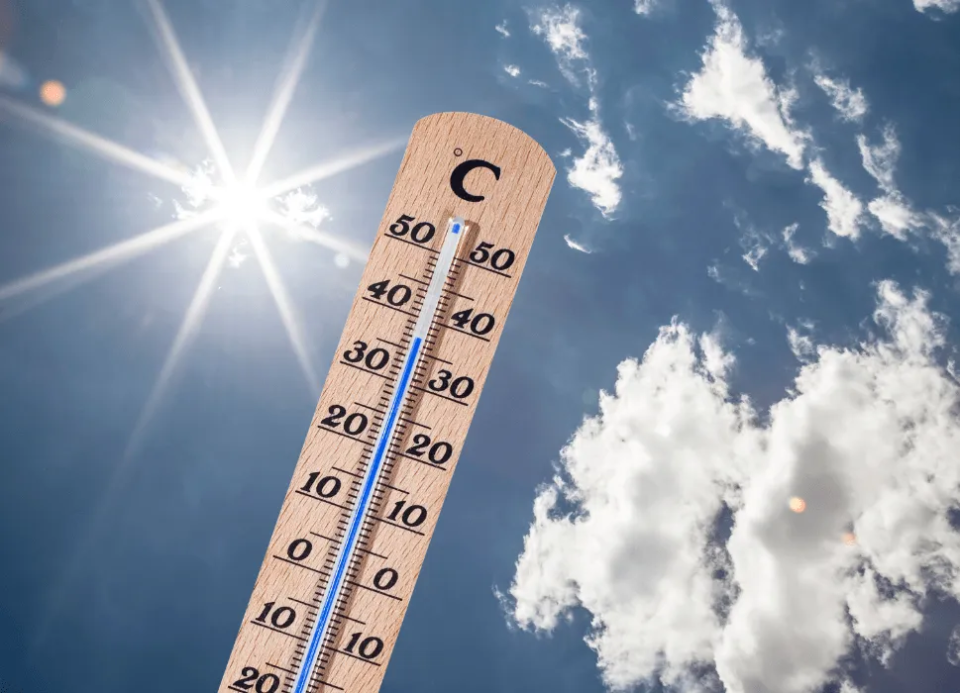 雪地上爬的冰蚊?北京反常蚊灾背后暗藏气候密码 雪地上爬的冰蚊?北京反常蚊灾背后暗藏气候密码