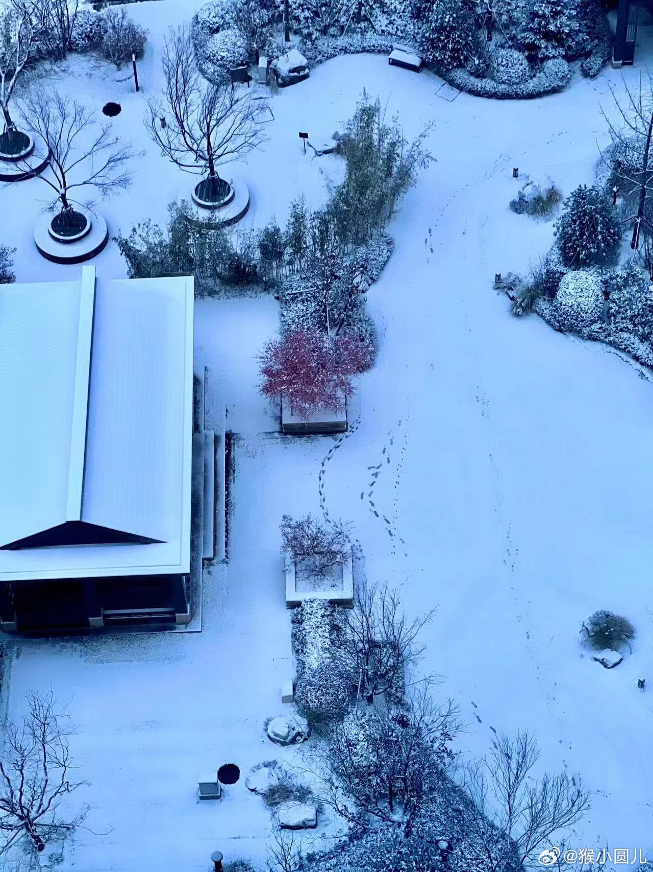 雪落紫禁城，北京初雪与中式美学的诗意邂逅