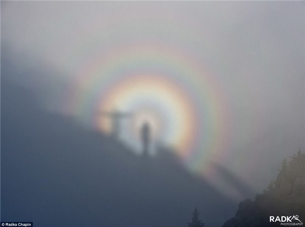 光环下的阴影,从天才遗腹子到街头流浪者—罗伯·莱纳家族丑闻背后的明星子女困境 光环下的阴影,从天才遗腹子到街头流浪者—罗伯·莱纳家族丑闻背后的明星子女困境