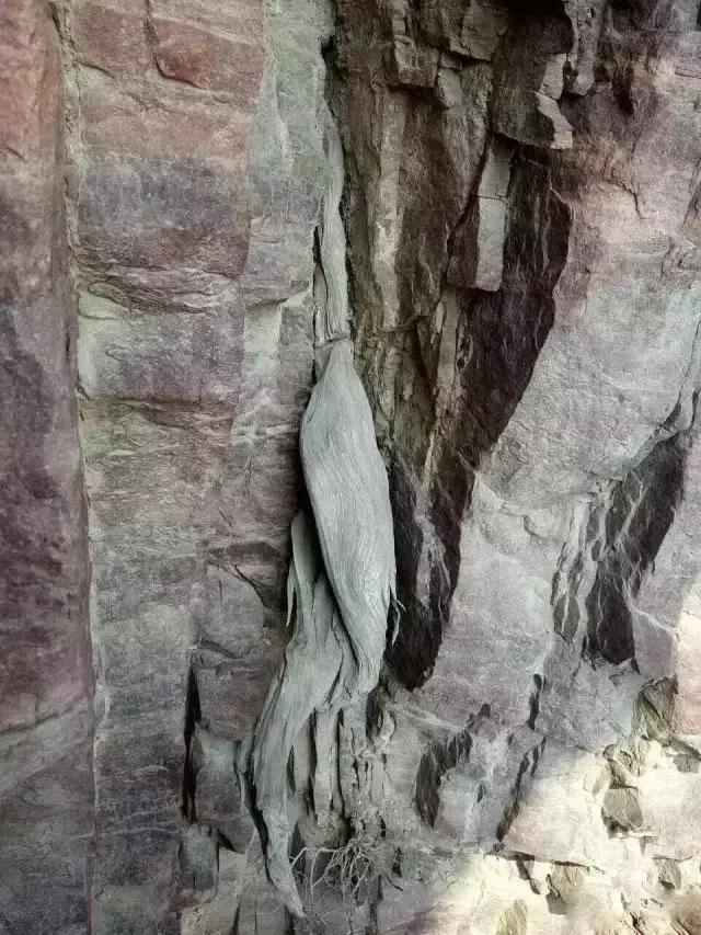 上海商场惊现天降大衣异象,百年商场顶楼惊现数十件悬空的时尚灾难 上海商场惊现天降大衣异象,百年商场顶楼惊现数十件悬空的时尚灾难