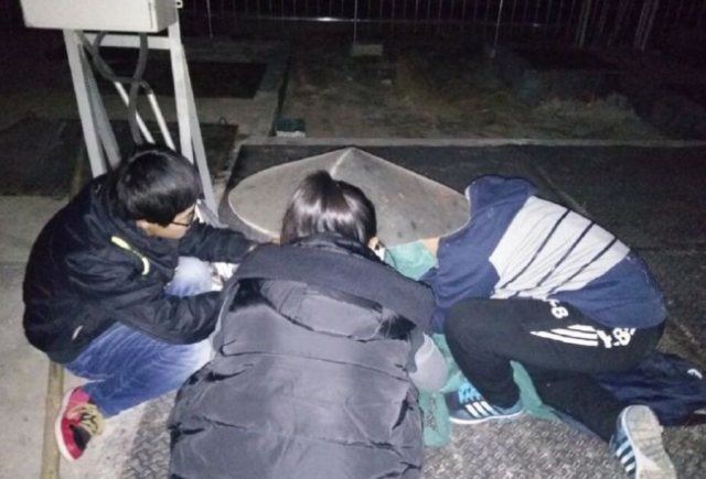 宿管摔死学生小猫事件,一场引发伦理反思的校园风波 宿管摔死学生小猫事件,一场引发伦理反思的校园风波