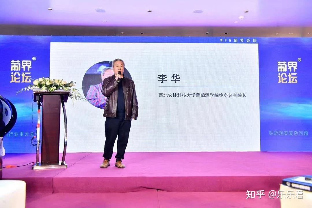 跨越国界的温情纽带，解码李华现象背后的全球情感密码